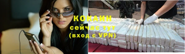 PSILOCYBIN Абаза