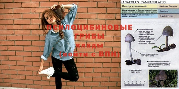 a pvp Алзамай