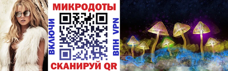 где найти наркотики  блэк спрут как зайти  Псилоцибиновые грибы MAGIC MUSHROOMS  Обоянь 